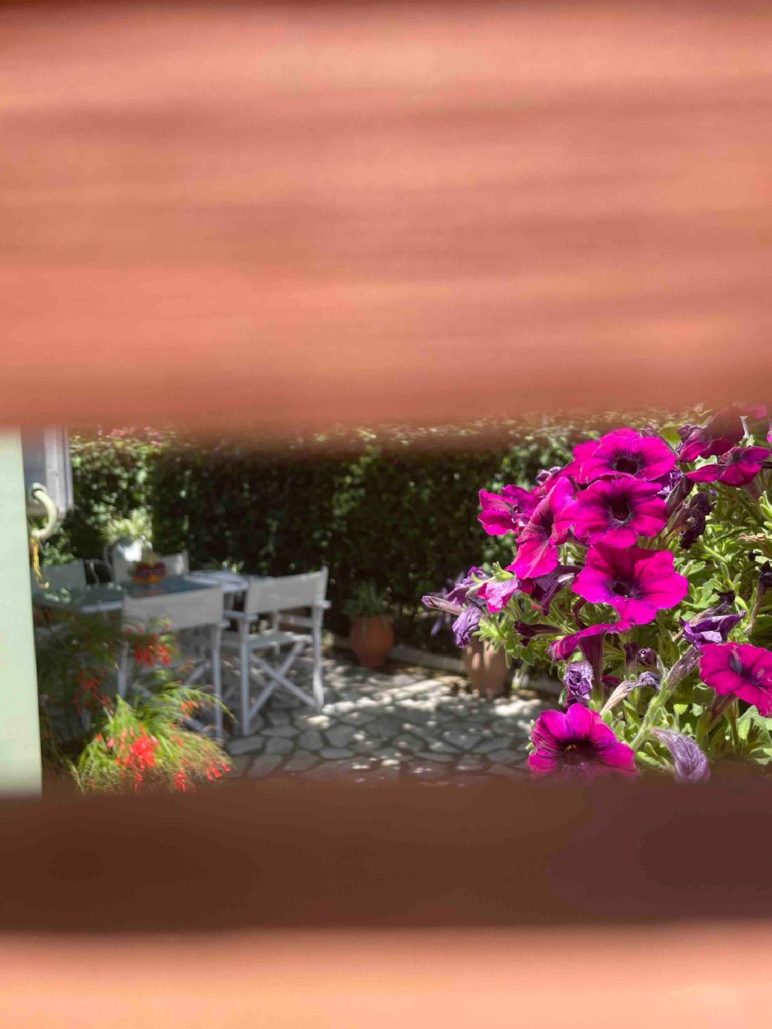 Tina Country Appartamento Acharavi (Corfu)